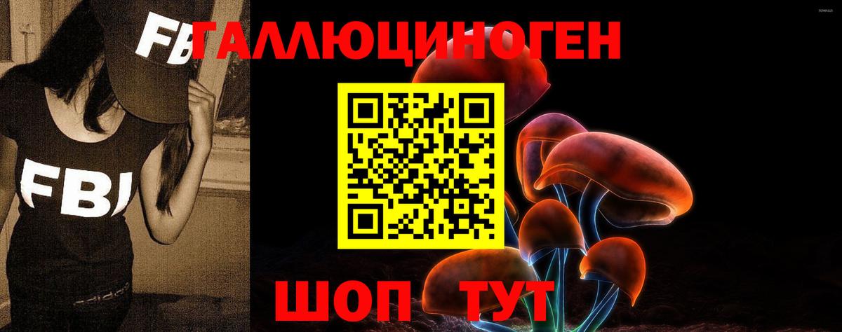 Алапаевск  Галлюциногенные грибы ЛСД  купить наркоту  Вход с VPN  Псилоцибиновые грибы мицелий 